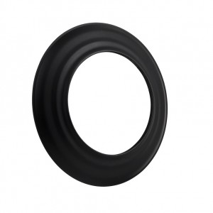 Розетта для димаря &empty;200мм BERTRAMS