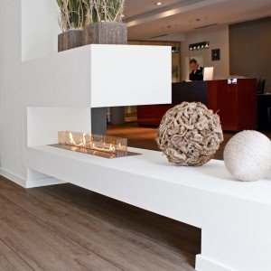 Біопальник Ebios-Fire Quadra Drop-in II