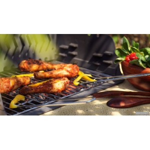 Чавунний гриль Invicta Assouan