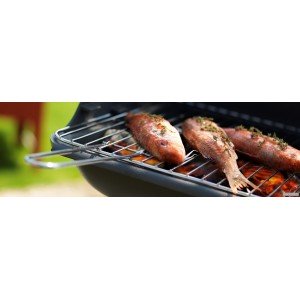 Чавунний гриль Invicta Mombassa