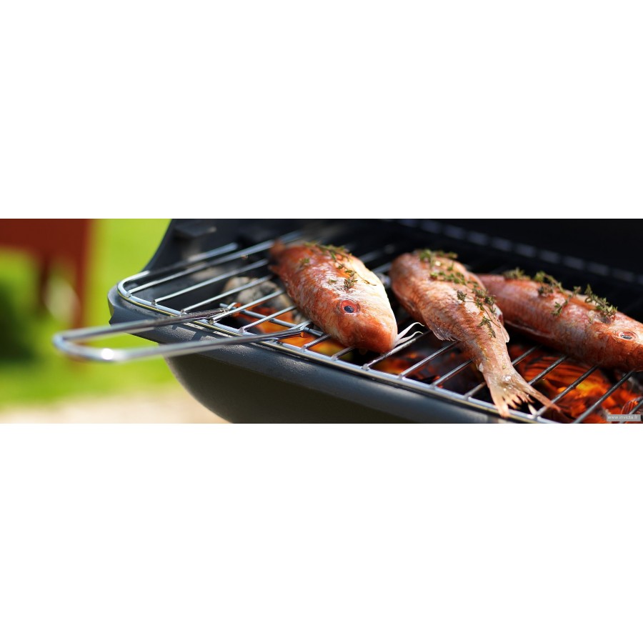 Чавунний гриль Invicta Mombassa