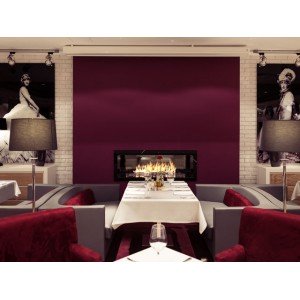 Біокамін Planika Fire Line Automatic 2 Model E