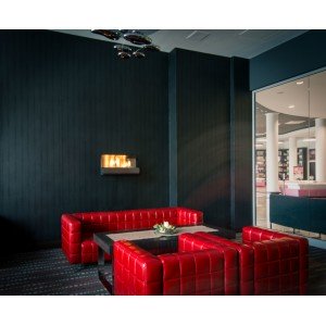 Біокамін Planika Wallfire