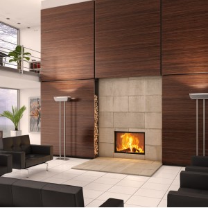 Камінна топка Spartherm Varia 1V-100h